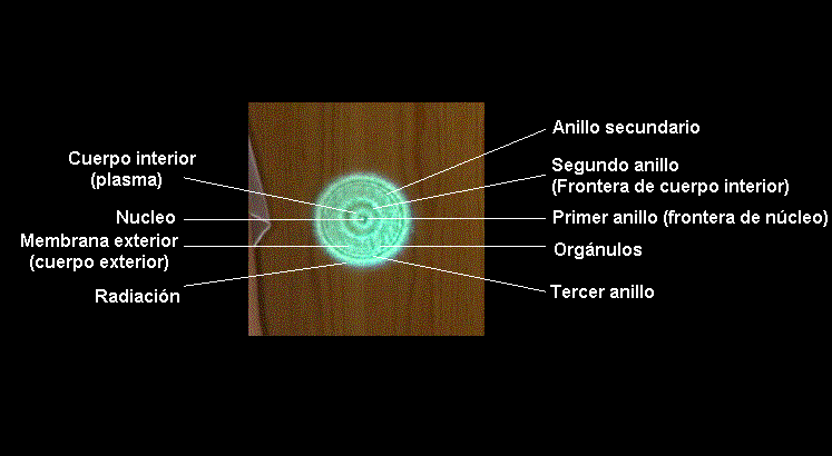 Partes de un orbe